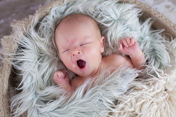 Liam Newborn Portraits-5