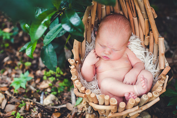 Liam Newborn Portraits-24
