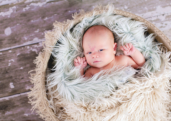 Liam Newborn Portraits-6