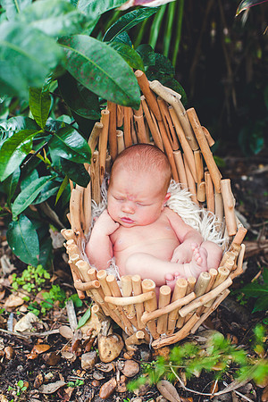 Liam Newborn Portraits-23