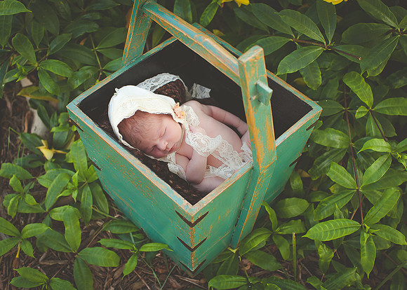 Alice (14 of 55)