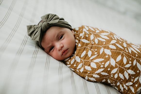 Vuleta Family (30 of 39)