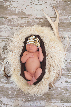 Blake Newborn Portraits (30 of 40)