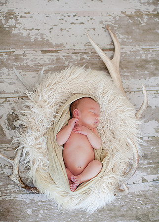 Blake Newborn Portraits (27 of 40)