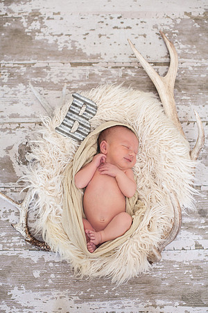 Blake Newborn Portraits (29 of 40)