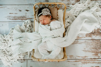 Juniper Newborn Portraits