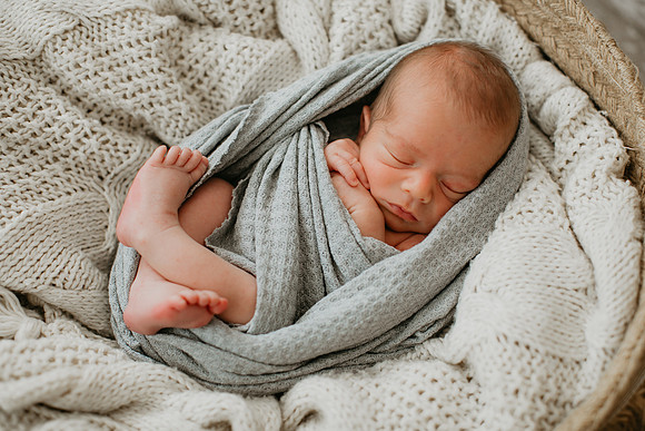Finn (5 of 91)