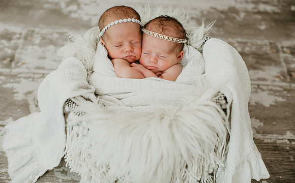 Bernie Babies (8 of 97)