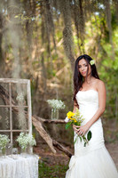 Rustic Bridal Session