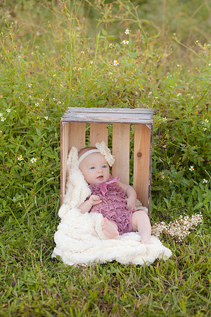 Veale (32 of 52)