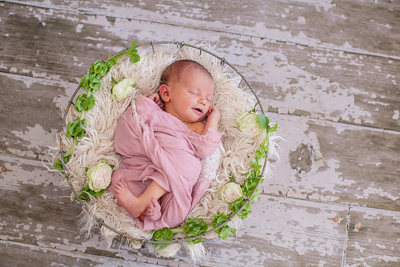 Addison Newborn Portraits (2)