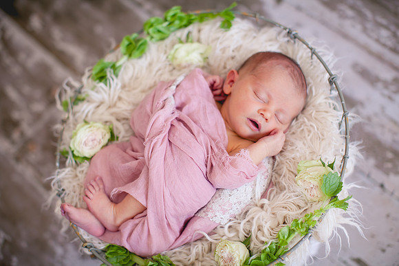 Addison Newborn Portraits (4)
