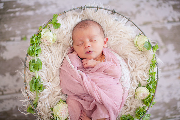 Addison Newborn Portraits (6)