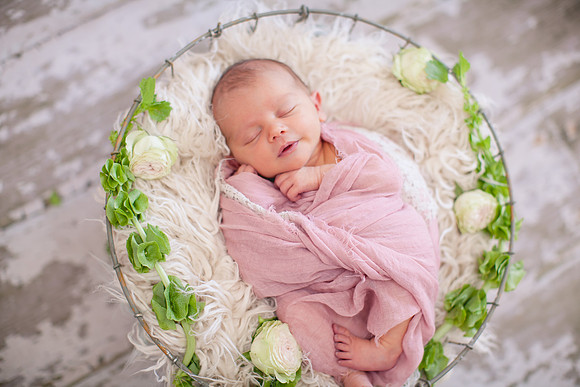 Addison Newborn Portraits (7)