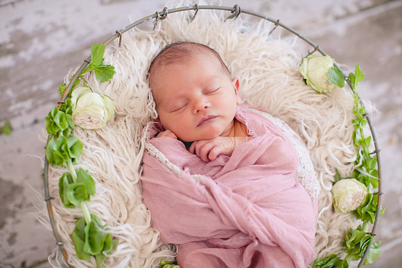 Addison Newborn Portraits (8)
