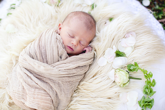 Addison Newborn Portraits (22)