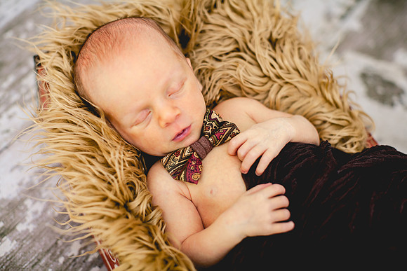 Shepard newborn