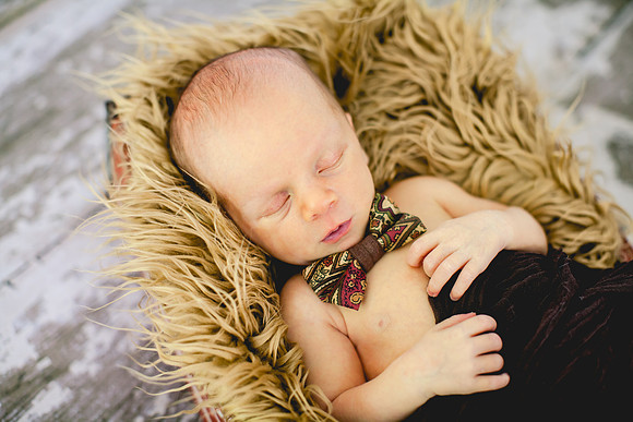 Shepard newborn