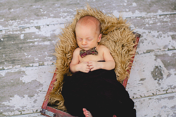 Shepard newborn
