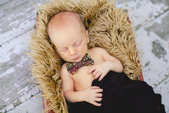 Shepard newborn