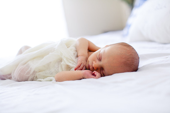 Shepard newborn