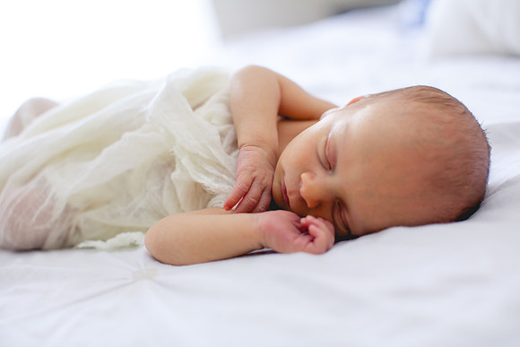 Shepard newborn