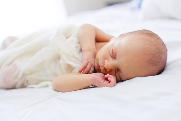 Shepard newborn