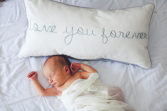 Shepard newborn