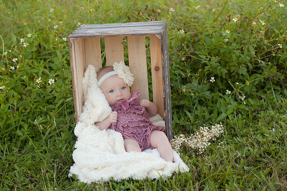 Veale (33 of 52)