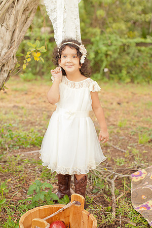 Adison-7