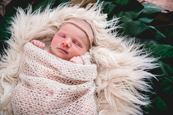 Molly Newborn Portraits (3 of 69)