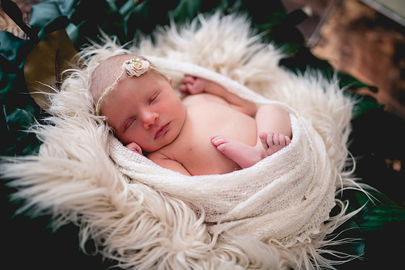 Molly Newborn Portraits (12 of 69)