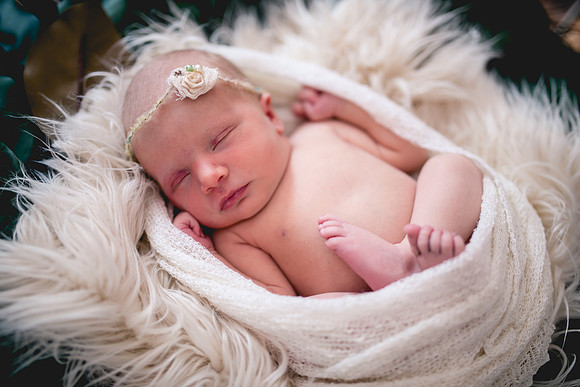 Molly Newborn Portraits (11 of 69)