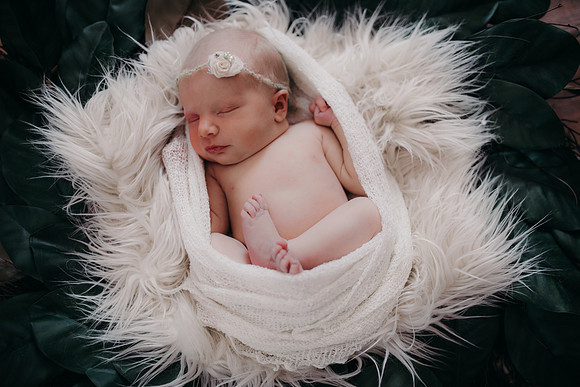 Molly Newborn Portraits (7 of 69)