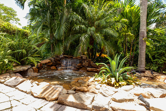 Orchid Cay-30
