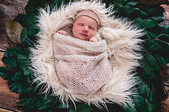 Molly Newborn Portraits (1 of 69)